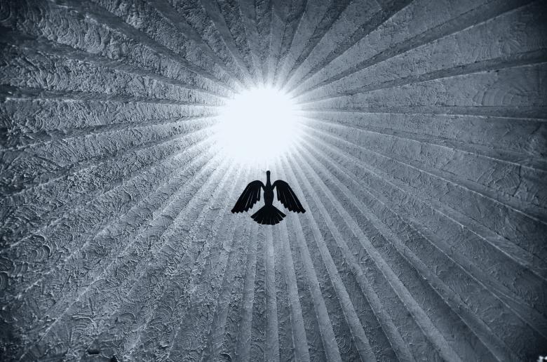 Free stock image of Dove Design created by Pixabay