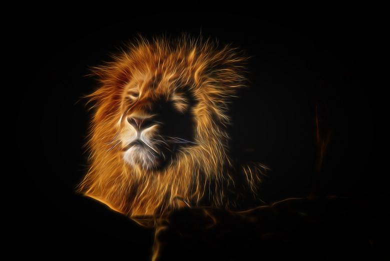 Free stock image of Wild Lion created by Pixabay