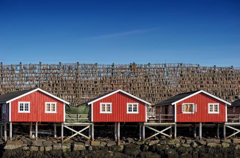 Free stock image of In Norway created by Pixabay