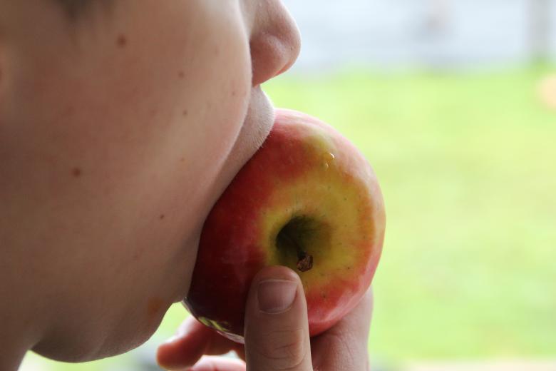 Free stock image of Eating Apple created by Pixabay