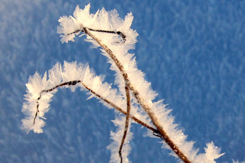 Free stock image of Blade of Grass created by Pixabay
