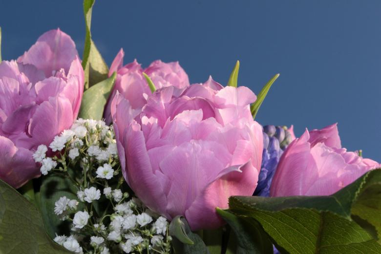 Free stock image of Flower Bouquet created by Pixabay