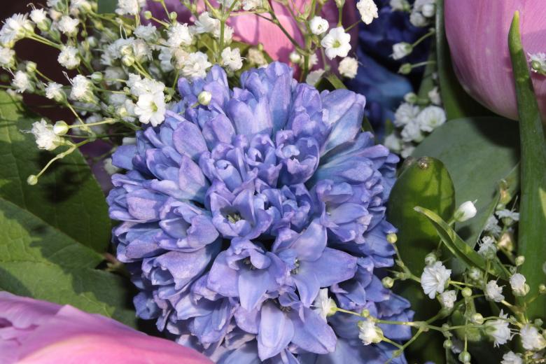 Free stock image of Flower Bouquet created by Pixabay