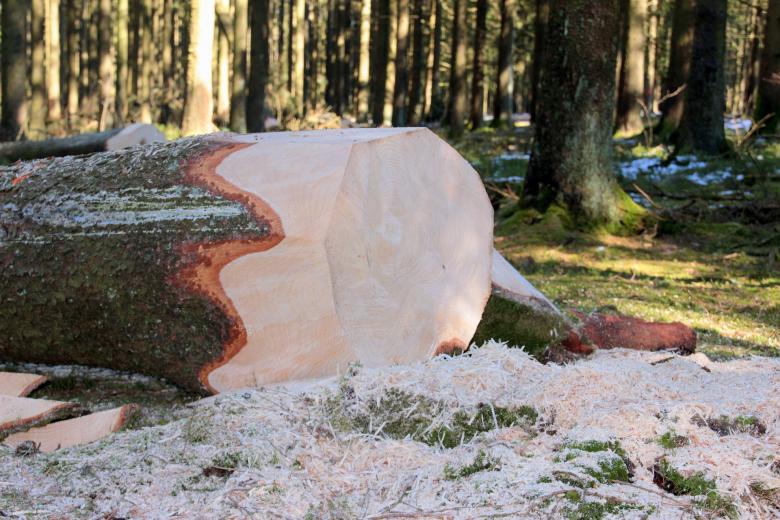 Free stock image of Cutting Trees created by Pixabay