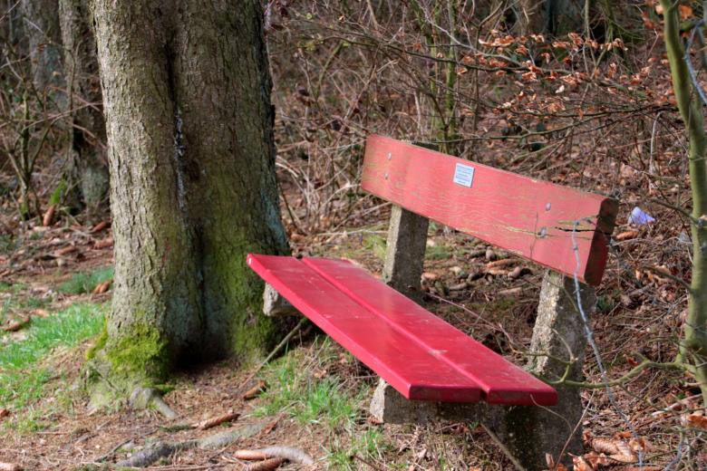 Free stock image of Bench in the Park created by Pixabay
