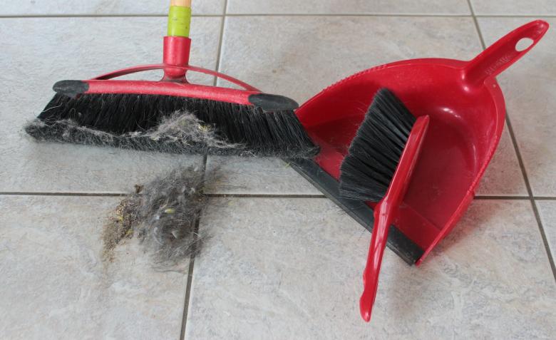Free stock image of Sweeping with Broom created by Pixabay