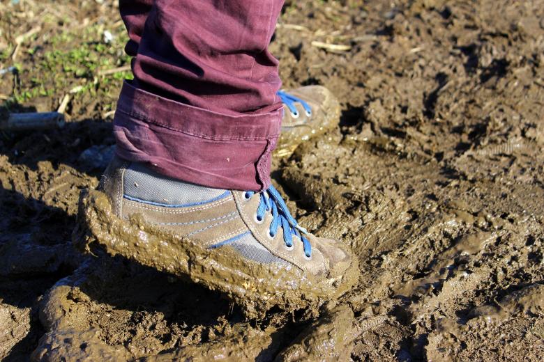 Free stock image of Work in the Mud created by Pixabay
