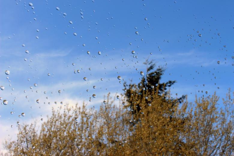 Free stock image of Droplets on the Glass created by Pixabay