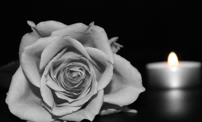 Free stock image of Rose and a Candle created by Pixabay