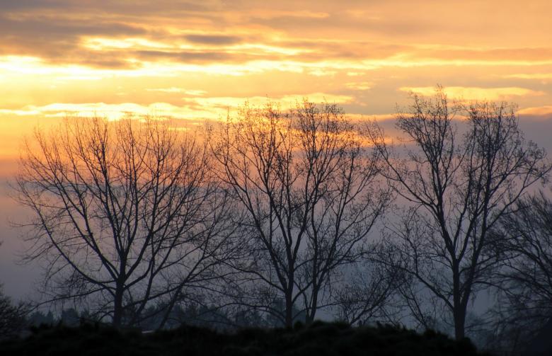 Free stock image of Sunset  created by Pixabay