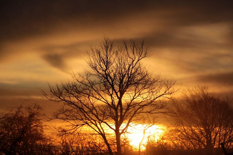 Free stock image of Sunset  created by Pixabay