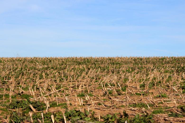 Free stock image of Arable created by Pixabay
