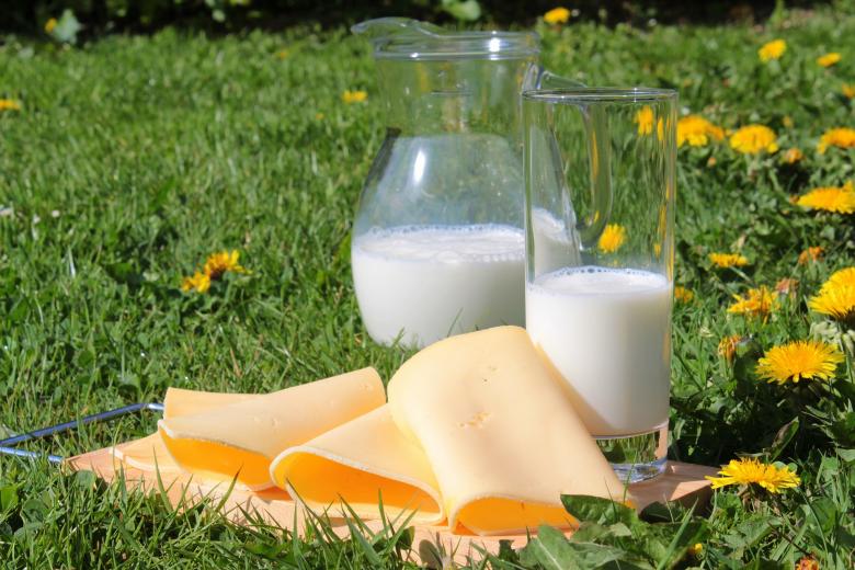 Free stock image of Milk and Cheese Picnic created by Pixabay