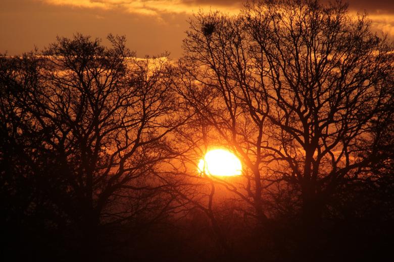 Free stock image of Setting Sun created by Pixabay