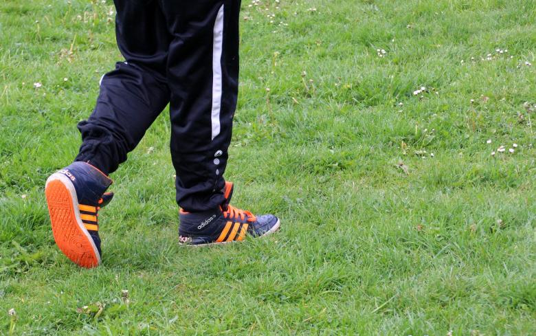 Free stock image of Walking in the Park created by Pixabay