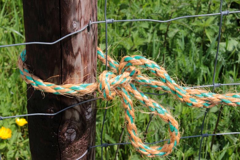 Free stock image of Tied Rope created by Pixabay