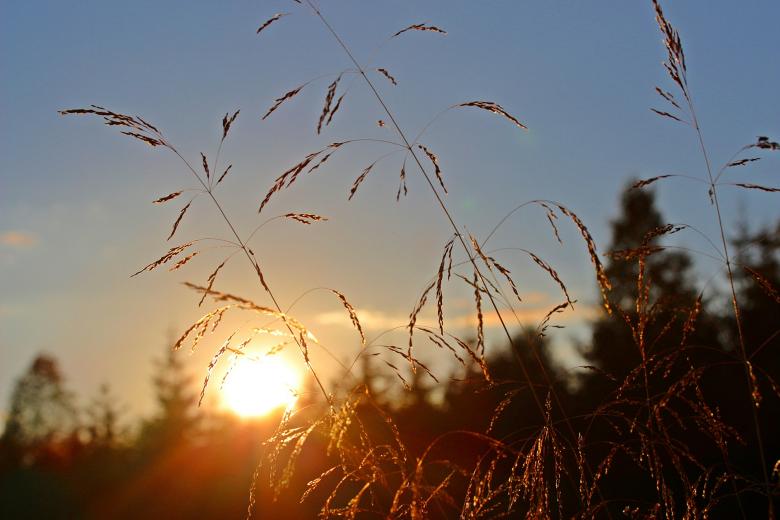 Free stock image of Abendstimmung created by Pixabay