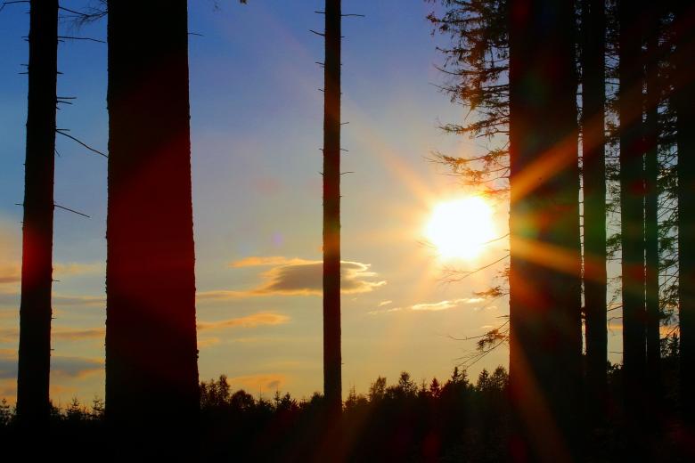 Free stock image of Evening Sun created by Pixabay