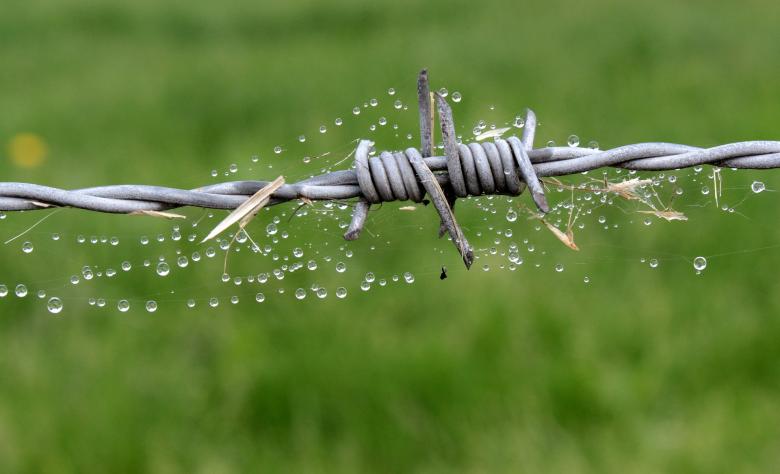 Free stock image of Barb Wire Fence created by Pixabay