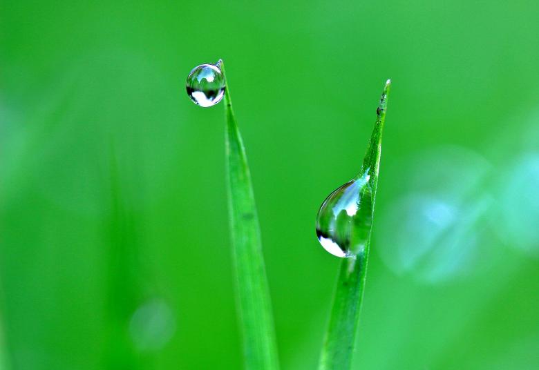 Free stock image of Dripping Water created by Pixabay
