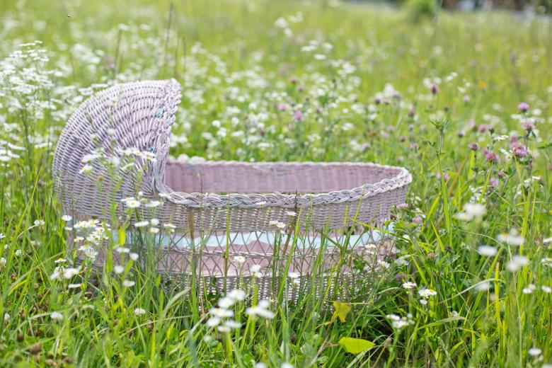Free stock image of Bassinet in the Garden created by Pixabay