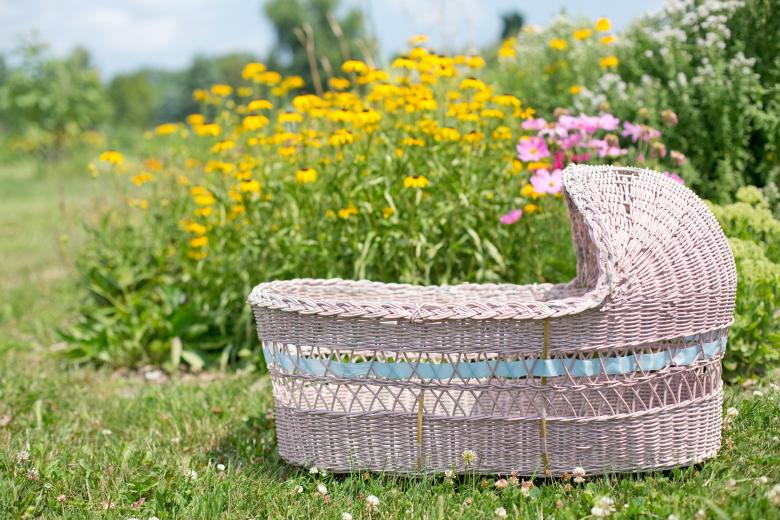 Free stock image of Bassinet in the Garden created by Pixabay