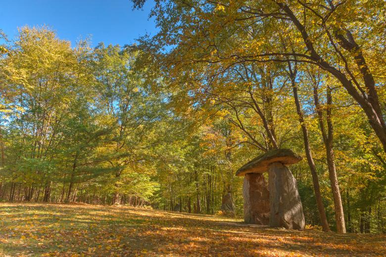 Free stock image of Megalith Forest - HDR created by Nicolas Raymond