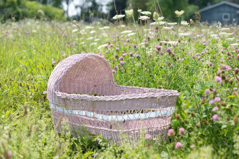 Free stock image of Baby Bassinet  created by Pixabay