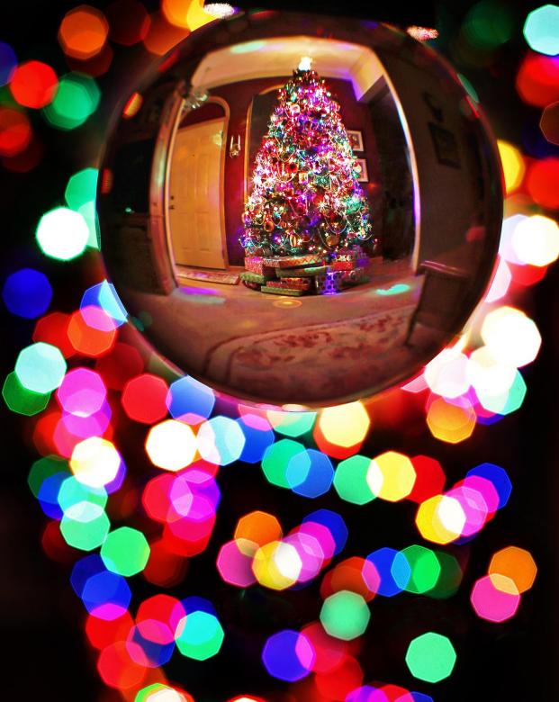 Free stock image of Bauble Reflecting a Christmas Tree created by Pixabay
