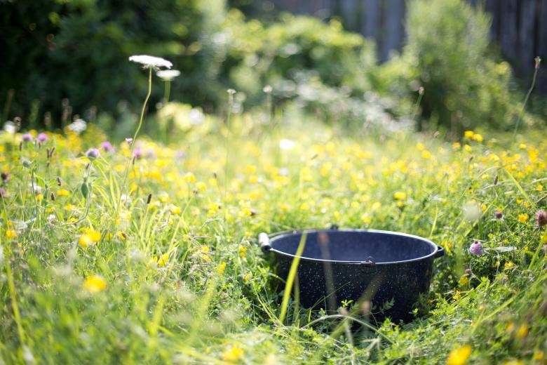 Free stock image of Pot in the Garden created by Pixabay
