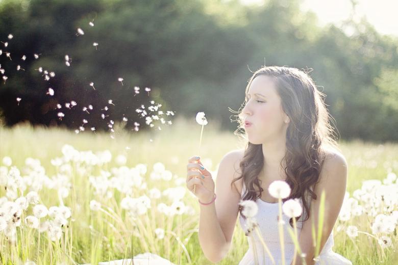 Free stock image of In the Dandelion Field created by Pixabay