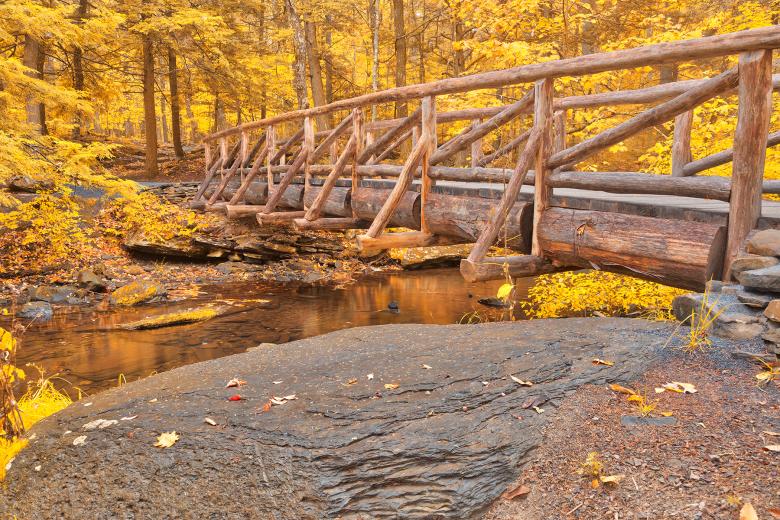 Free stock image of Golden Autumn Log Bridge - HDR created by Nicolas Raymond