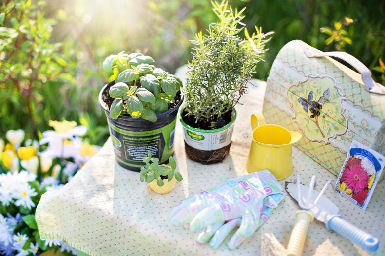 Free stock image of Planting in the Garden created by Pixabay