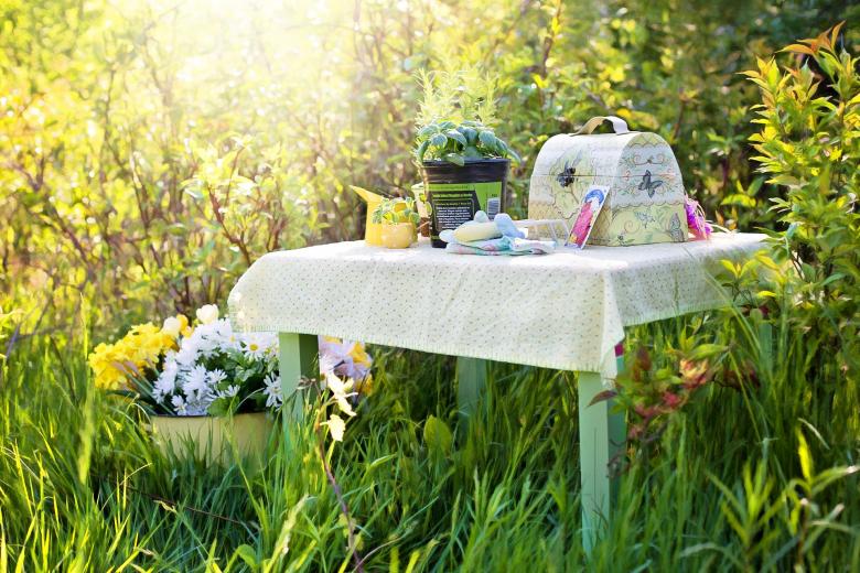 Free stock image of Planting in the Garden created by Pixabay