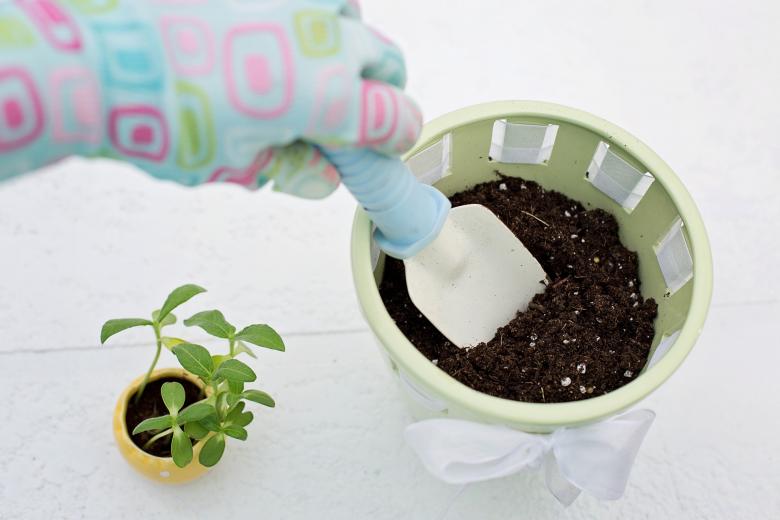 Free stock image of Planting Technique created by Pixabay