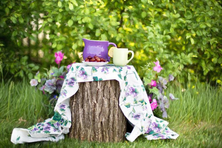 Free stock image of In Summer created by Pixabay