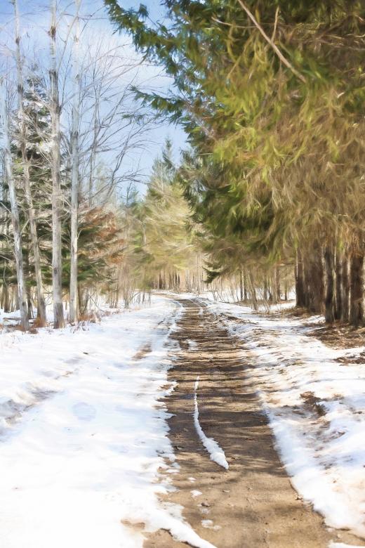 Free stock image of Frozen Path created by Pixabay