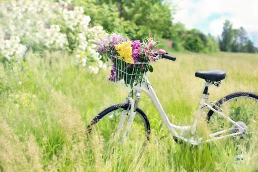 Free Stock Photo of Bicycle in the Field
