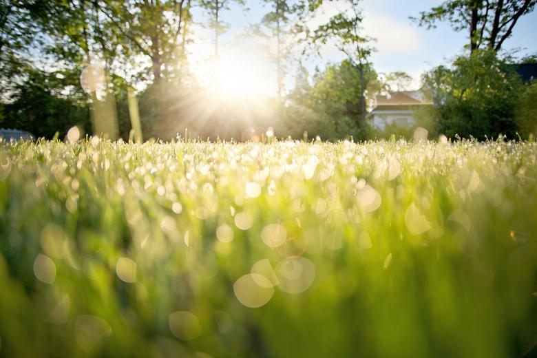 Free stock image of Dew on Grass created by Pixabay