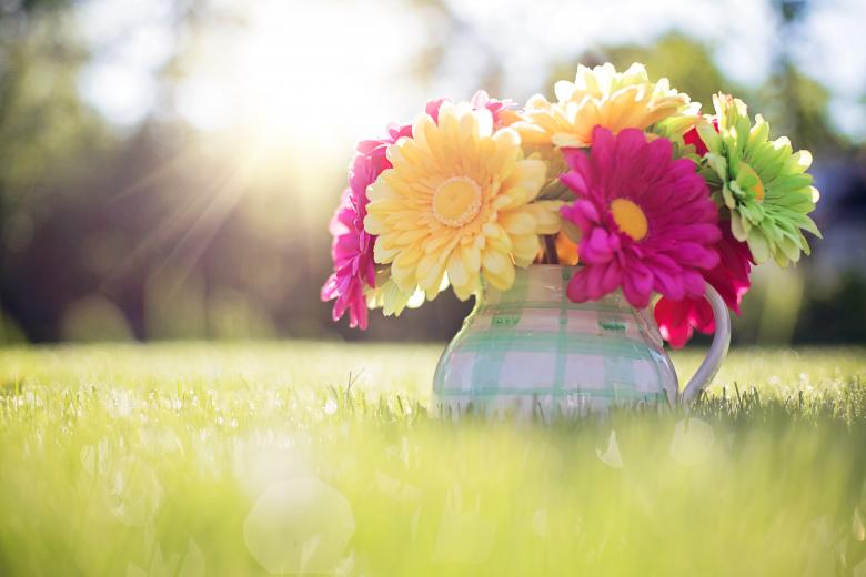 Free stock image of Flowers in Pitcher created by Pixabay