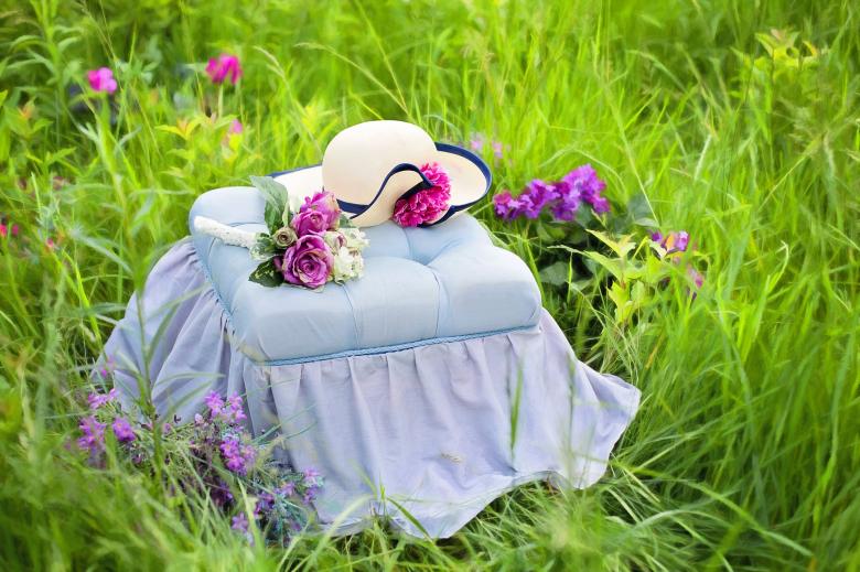 Free stock image of In the garden created by Pixabay