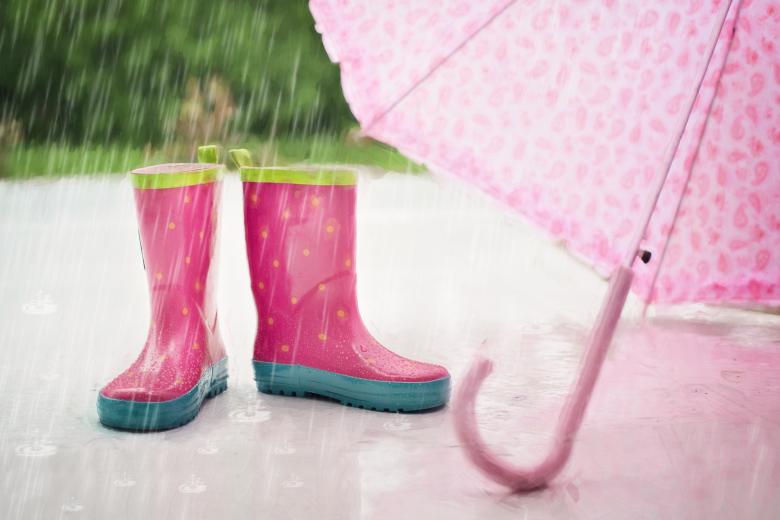 Free stock image of Raining Cats and Dogs created by Pixabay