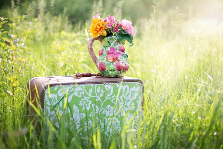 Free stock image of Summer Still Life created by Pixabay