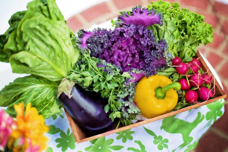 Free stock image of Vegetables in the Tray created by Pixabay