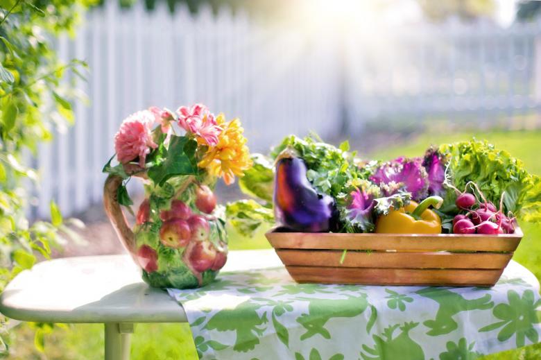 Free stock image of Vegetable Art created by Pixabay