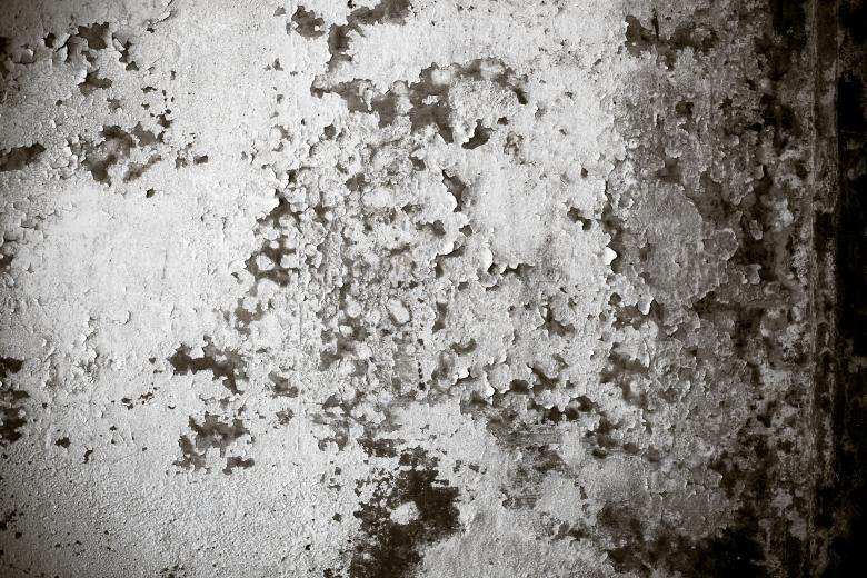 Free stock image of Grungy Peeling Wall Texture created by Free Texture Friday