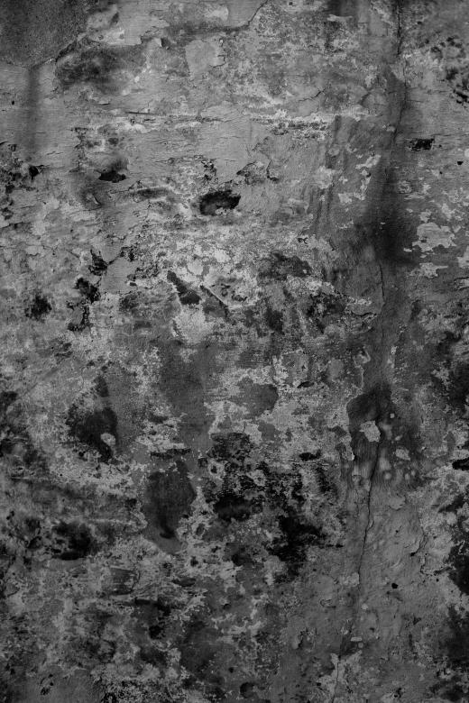Free stock image of Extreme Grunge Texture created by Free Texture Friday