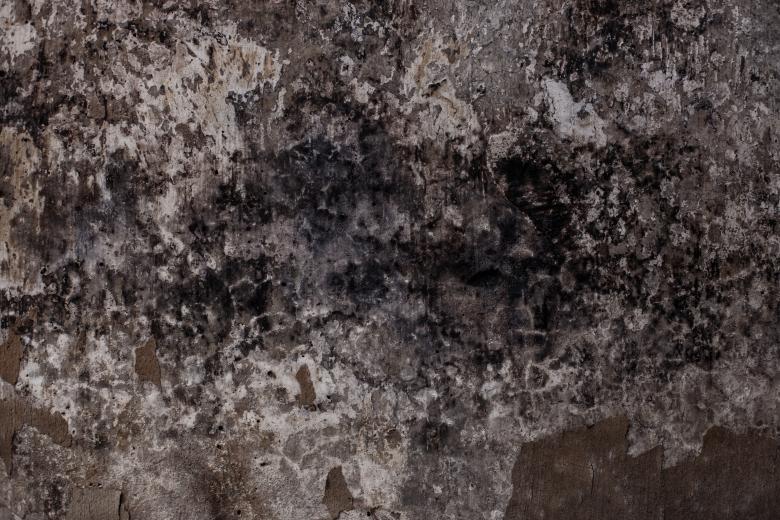 Free stock image of Extreme Grungy Molded Wall Texture created by Free Texture Friday