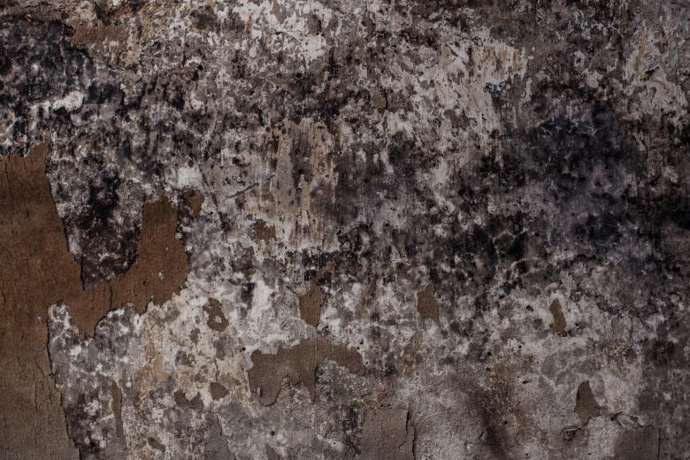 Free stock image of Extreme Grungy Wall Surface created by Free Texture Friday