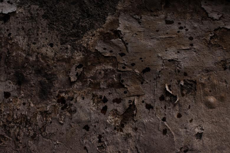 Free stock image of Extreme Grungy Brown Background created by Free Texture Friday